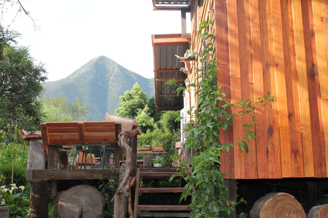 Boutique Vintage Forest Cabin Stormsrivier Exterior foto